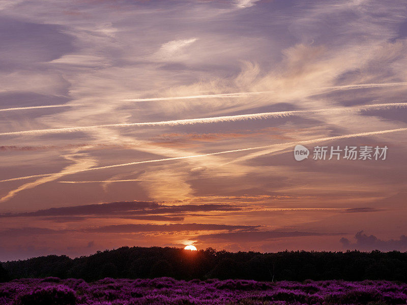 Zonsondergang越过heide van heet Dwingelderveld